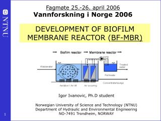 DEVELOPMENT OF BIOFILM MEMBRANE REACTOR ( BF-MBR)