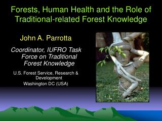 Forests, Human Health and the Role of Traditional-related Forest Knowledge