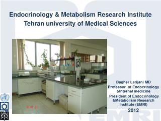 Bagher Larijani MD Professor of Endocrinology &amp;Internal medicine