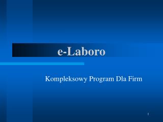 kompleksow y program dla firm