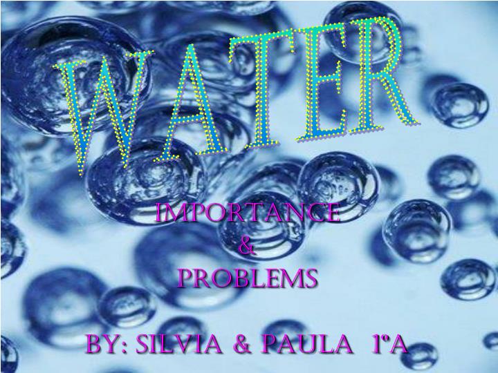 importance problems by silvia paula 1 a