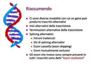 Riassumendo