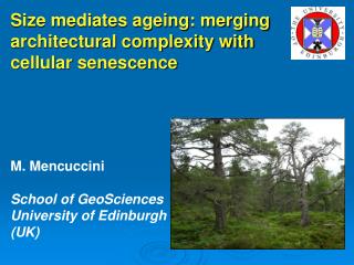 Size mediates ageing: merging architectural complexity with cellular senescence M. Mencuccini