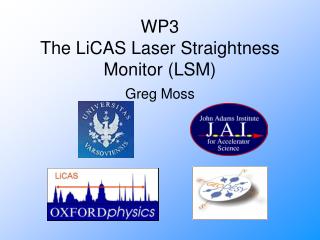 WP3 The LiCAS Laser Straightness Monitor (LSM)