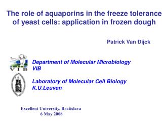The role of aquaporins in the freeze tolerance of yeast cells: application in frozen dough