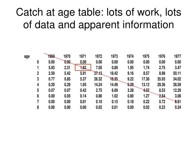 catch at age table lots of work lots of data and apparent information