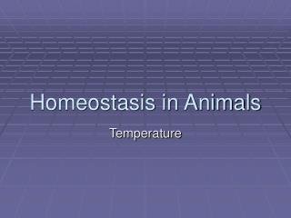 Homeostasis in Animals