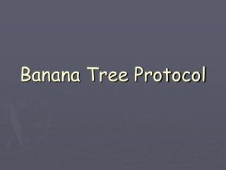 Banana Tree Protocol