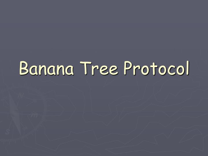 banana tree protocol