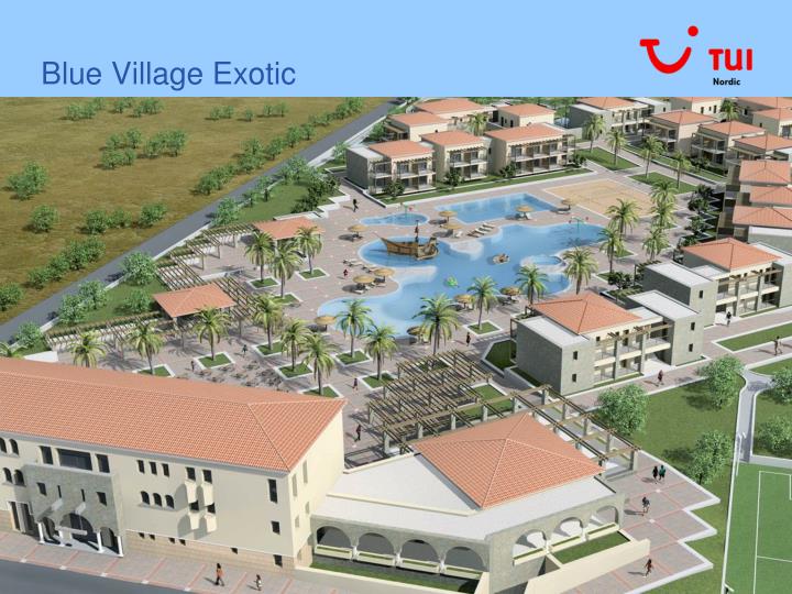 blue village exotic