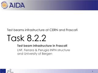 Test beams infrastructure at CERN and Frascati Task 8.2.2 Test beam infrastructure in Frascati