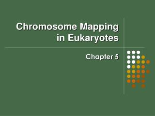 Chromosome Mapping in Eukaryotes