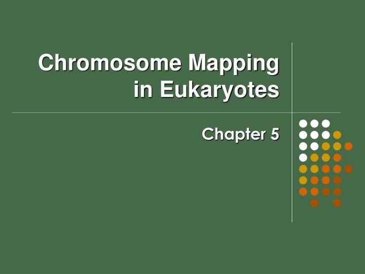 chromosome mapping in eukaryotes