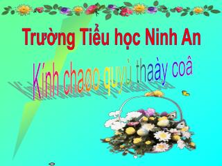 Trường Tiểu học Ninh An