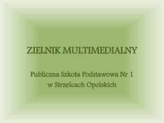 zielnik multimedialny