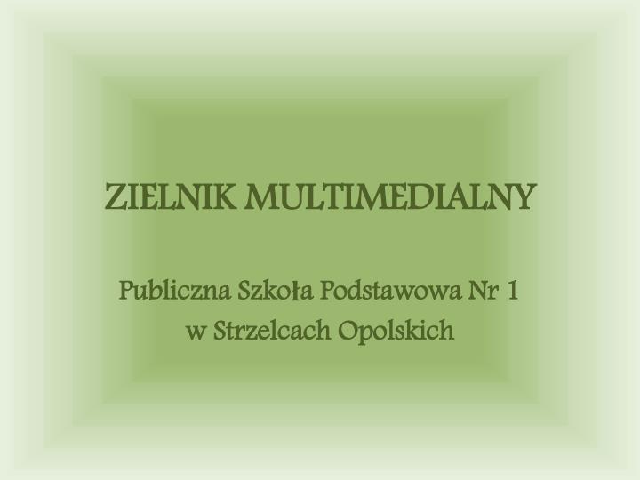 zielnik multimedialny