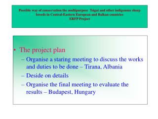 The project plan