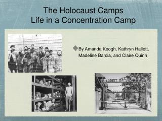 The Holocaust Camps Life in a Concentration Camp