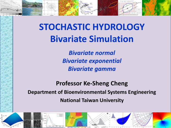 stochastic hydrology bivariate simulation