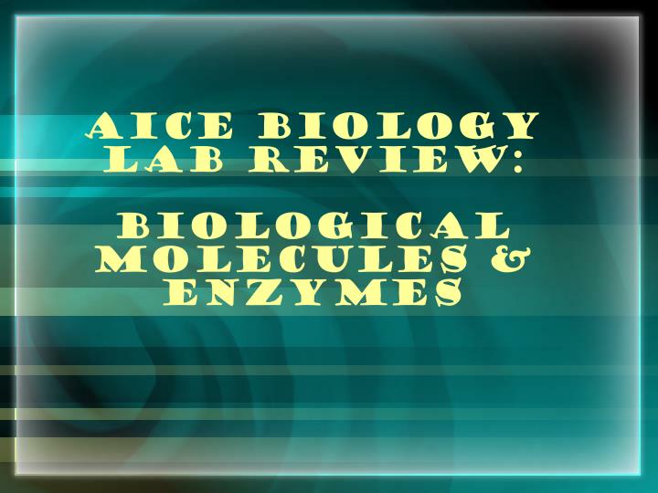 aice biology lab review biological molecules enzymes