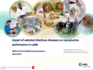 Impact of selected Infectious diseases on reproductive performance in cattle