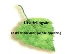 Utvekslingsår - slide 1