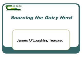 sourcing the dairy herd