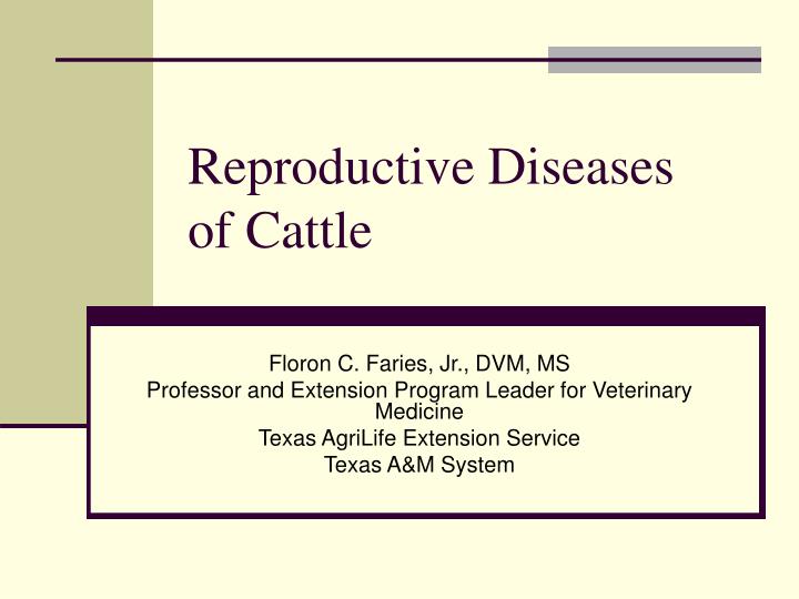 reproductive diseases of cattle