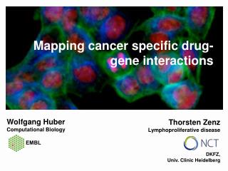 Mapping cancer specific drug-gene interactions