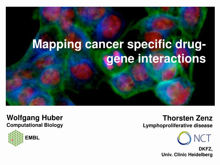 mapping cancer specific drug gene interactions