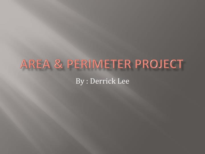 area perimeter project