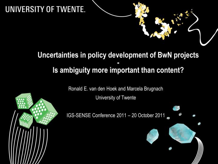 uncertainties in policy development of bwn projects is ambiguity more important than content