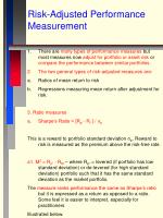 Risk-Adjusted Performance Measurement - slide 1