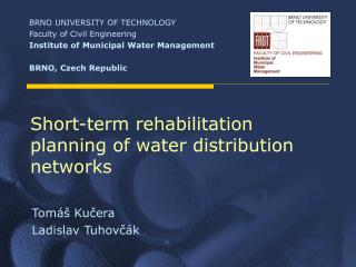 Short-term rehabilitation planning of water distribution networks