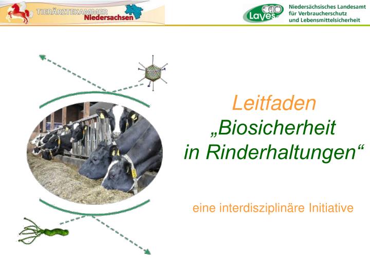 leitfaden biosicherheit in rinderhaltungen