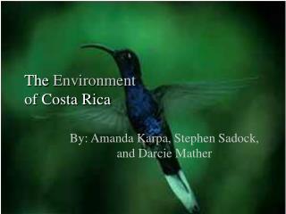 The Environment of Costa Rica