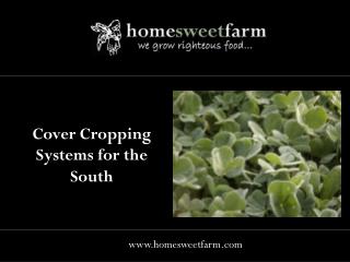 Cover Cropping Systems for the South