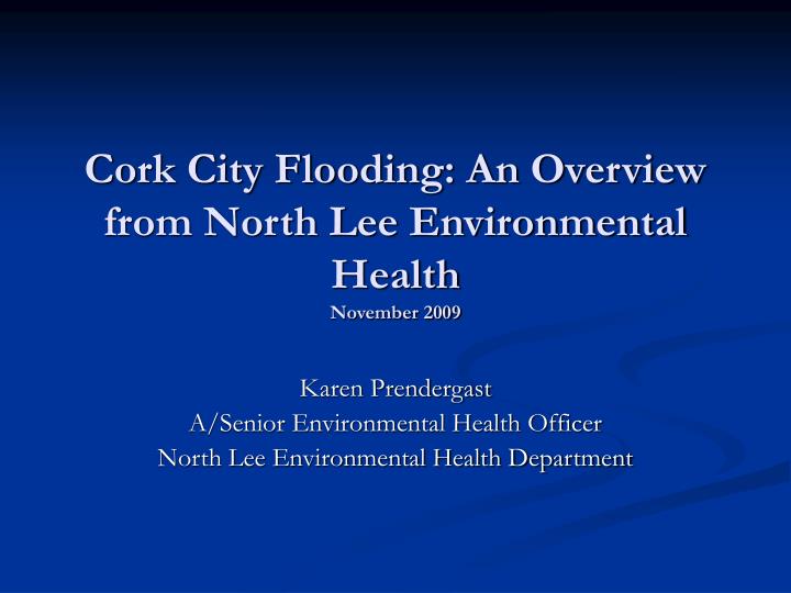 cork city flooding an overview from north lee environmental health november 2009