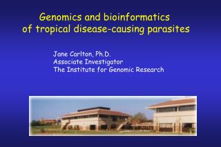 Genomics and bioinformatics of tropical disease-causing parasites