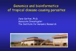 Genomics and bioinformatics of tropical disease-causing parasites - slide 1