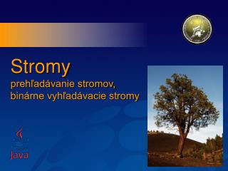 stromy preh ad vanie stromov b in rne vyh ad vacie stromy