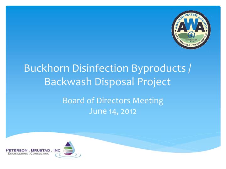 buckhorn disinfection byproducts backwash disposal project