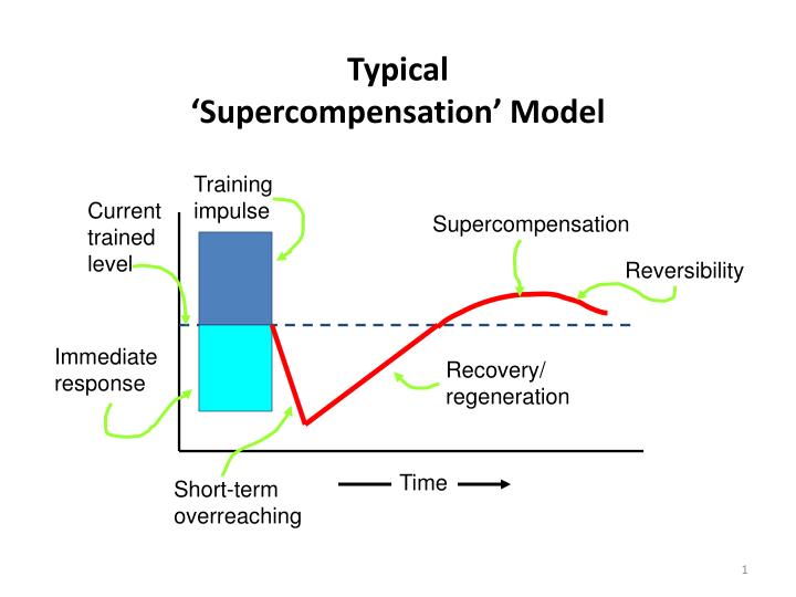 typical supercompensation model
