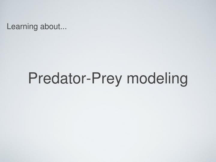 predator prey modeling