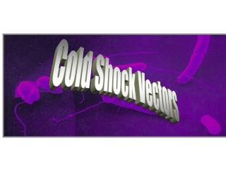 Cold Shock Vectors