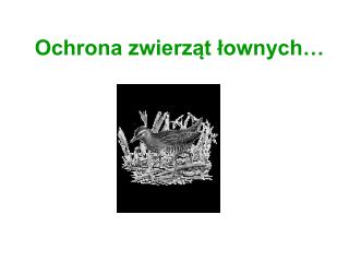 ochrona zwierz t ownych