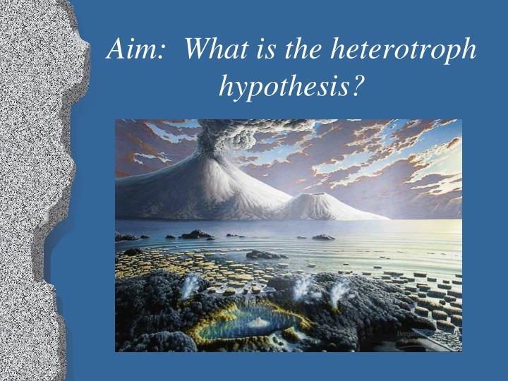 heterotroph hypothesis def