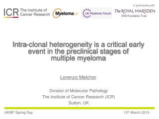 Division of Molecular Pathology The Institute of Cancer Research (ICR) Sutton, UK