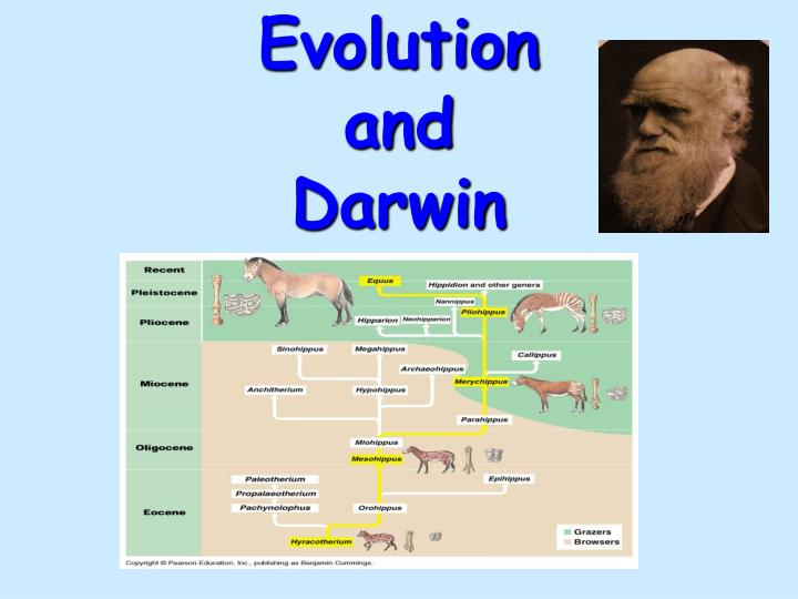 evolution and darwin