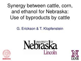 Synergy between cattle, corn, and ethanol for Nebraska: Use of byproducts by cattle